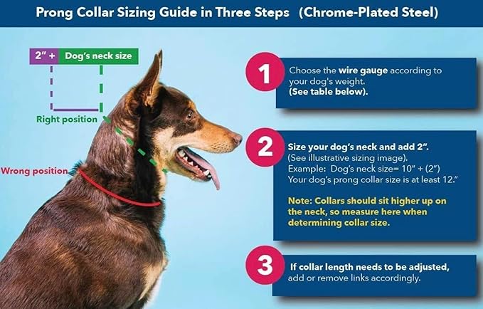 Herm Sprenger 3mm Prong Collar for Dogs Training - Quick Release Buckle & Swivel Ring for Easy Use - Made of Durable Steel Chrome Plated in Germany for Large Dogs (3mm Prongs, 20-26" Neck)