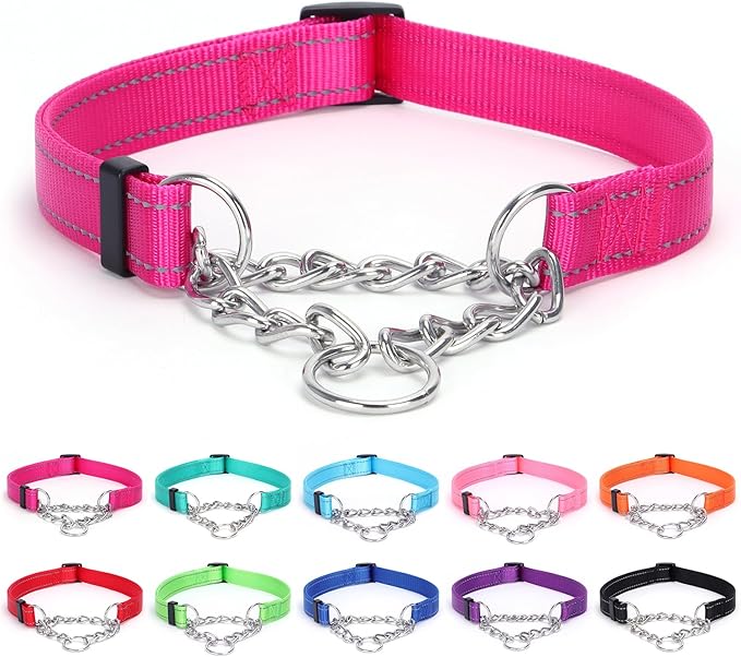 Martingale Dog Collar with Stainless Steel Chain and Leash Set, Martingale Collar with Reflective, 5FT Double Handle Dog Leash Padded, Adjustable for Medium Large Dogs (Green Collar, L)