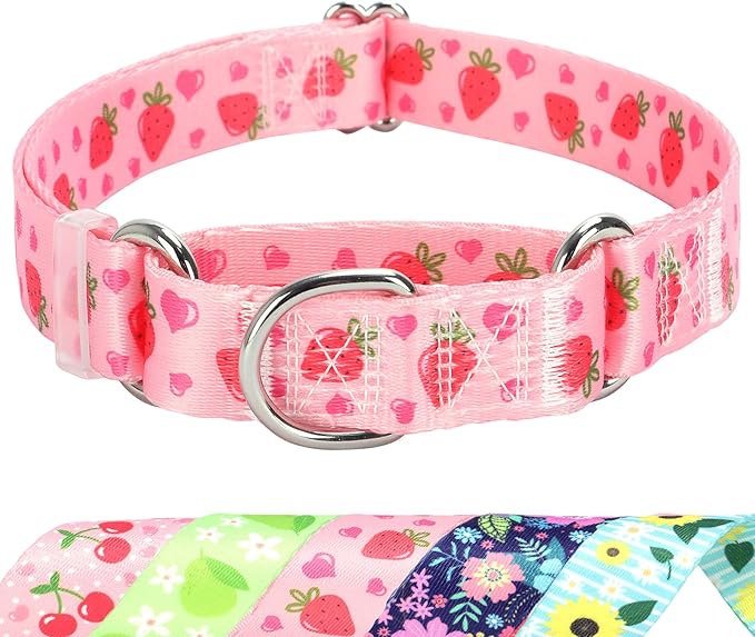 Martingale Dog Collar for Small Pet Dogs- Pink Strawberry No-Slip Escape Proof Choke No Pull Fruit Dog Collar for Male and Female Dogs Training & Walking S