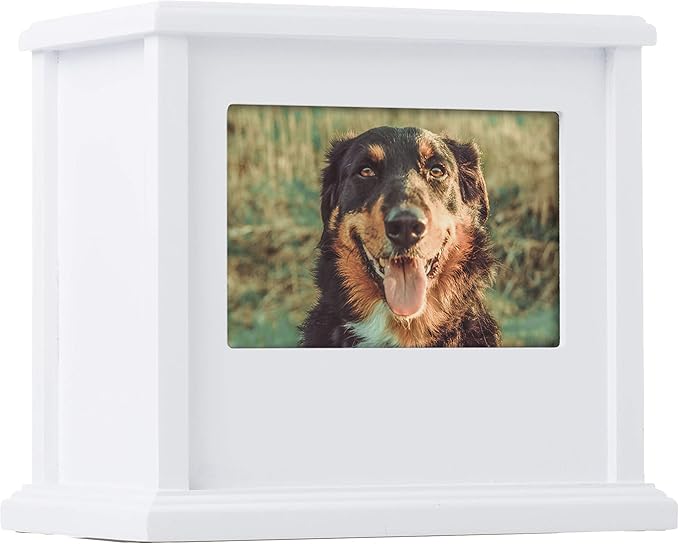 Pearhead Pet Wooden Photo Memory Keepsake Box & Urn, Memorial For Dog & Cat Ashes and Mementos, 4 × 6 Picture Insert, Medium, White