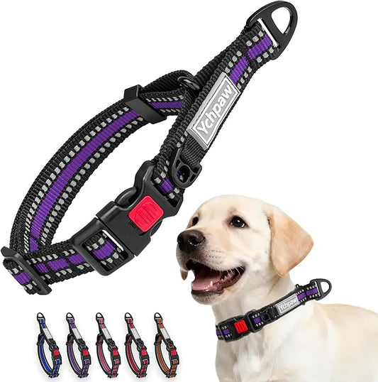 Martingale Collar for Dogs Reflective Collar with Quick Release Buckle, Adjustable Nylon Collars for No Slip Dog Collar, Purple, M