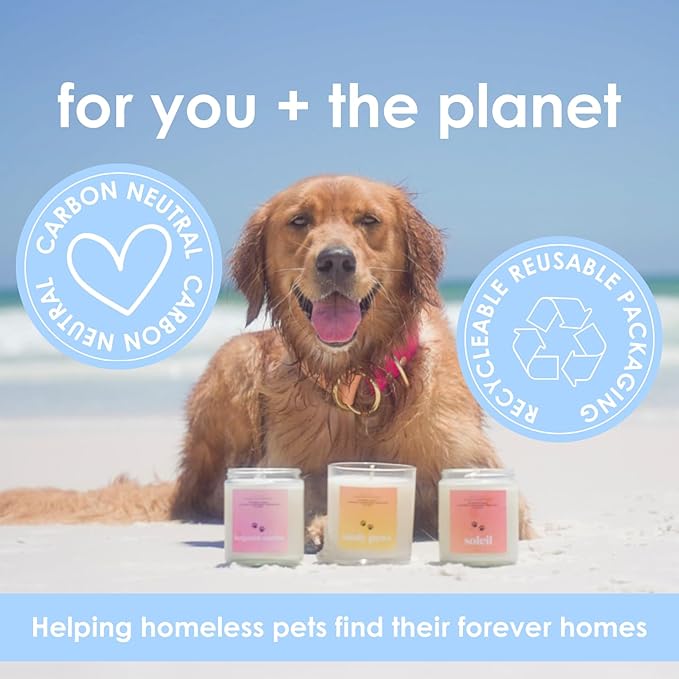 Pet Safe Wax Melts for Dogs | Non Toxic Soy Wax Melts | Natural, Paraffin-Free, Clean Burning | Odor Eliminating Wax Cubes | Fresh Linen