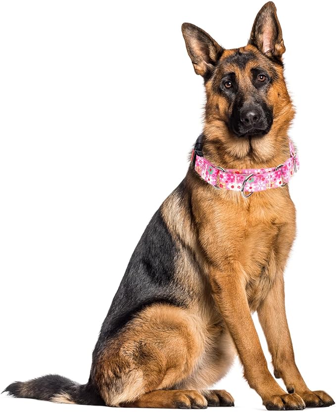 Pink Martingale Collar for Medium Dogs with Safety Buckle, Adjustable Girl Dog Collars with Flowers Design, Heavy Duty No Slip Collar Great for Whippets, Greyhounds and More (M)