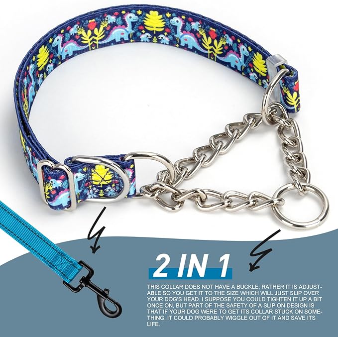 Martingale Dog Collar with Chain, Reflective Adjustable Training Collar with Dinosaur Design for Medium, Large, XL Dogs(Dinosaur Medium)