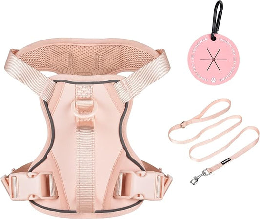 Petmolico Dog Harness for Small Dogs, Cute Harness Vest with Two Leash Clips and Soft Handle, Reflective Easy Walk Puppy Vest - Pink, X-Small