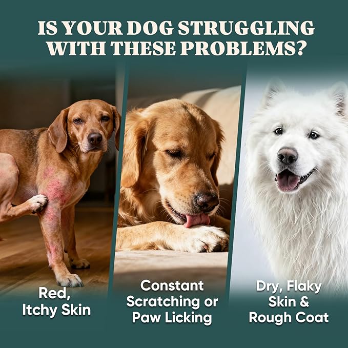 Dog Allergy Chews Omega 3 is Human,Itch Relief Multivitamin Medicine for Dogs Itching Skin Relief and Aller Immune Pet Allergy Dog Anti Itch Chews Coat Licking Supplements Pills Meds Medicine for Dogs