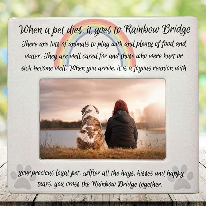 BANBERRY DESIGNS Pet Memorial 4x6 Picture Frame - Rainbow Bridge Message - Bereavement Photo Plaque for Dog or Cat - in Memory of a Pet - Pet Sympathy Gift