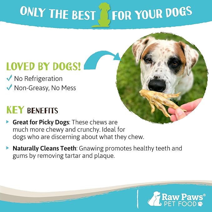 Raw Paws Dried Chicken Feet Dog Treats (50 Pack) - Packed in USA - Dehydrated Chicken Feet for Dogs - Natural, Single Ingredient Chews