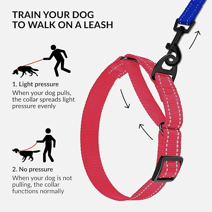 CollarDirect Reflective Martingale Dog Collar Nylon Heavy Duty Training Pet Collars for Small Medium Large Dogs Puppy Black Blue Lime Mint Green Red Pink Purple Red (L, Neck Size 16"-24", Pink)