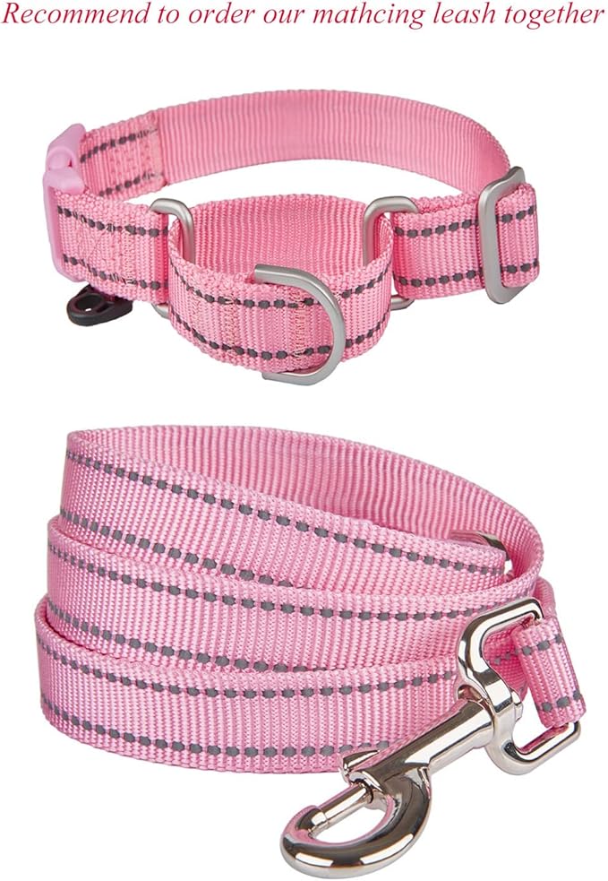 Reflective Martingale Collar for Dogs with Quick Snap Buckle Anti-Pull Nylon Safe Slip Collars for Easy Walking,Pink,Small