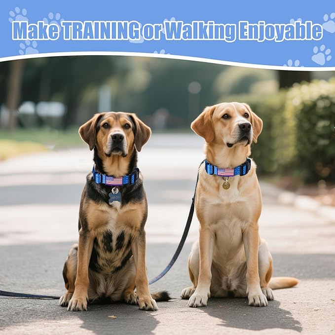 Martingale Dog Collar, Reflective No Pull Training Collar with Quick Release Buckle & USA Flag, Heavy-Duty Nylon, Adjustable for Small Medium Large Dogs (M,Blue with Flag