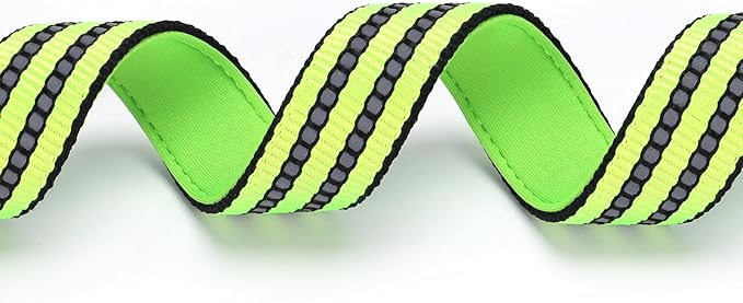 Martingale Dog Collar with Stainless Steel Chain,No Pull Slip Cinch Choker Choke Collar Training Escape Proof Heavy Duty Dog Collar for Small Medium Large Pet Boy Male Dogs,Green XL