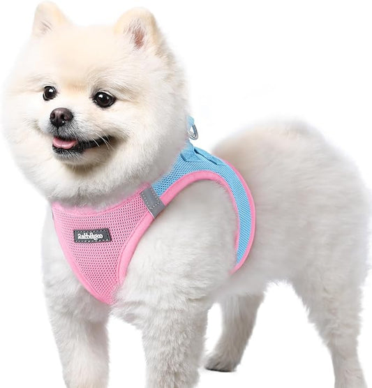 rabbitgoo Small Dog Harness, Step-in Soft Mesh Puppy Vest with Safety Buckle, Breathable Reflective Pet Harness for Small Sized Dogs, Blue & Light Pink S