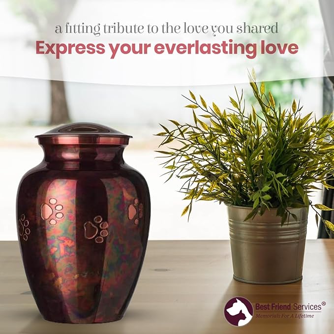 Ottillie Paws Legacy Series Pet Urn for Dogs, Handmade Brass Memorial Cremation Urn (X-Large - Pets up to 170 lbs, Raku, Horizontal Brass Paws)