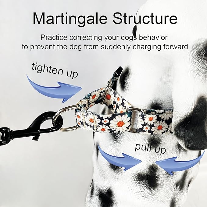 Martingale Collar for Dogs Daisy Dog Collar with Buckle Adjustable Nylon Medium Dog Collars, Daisy