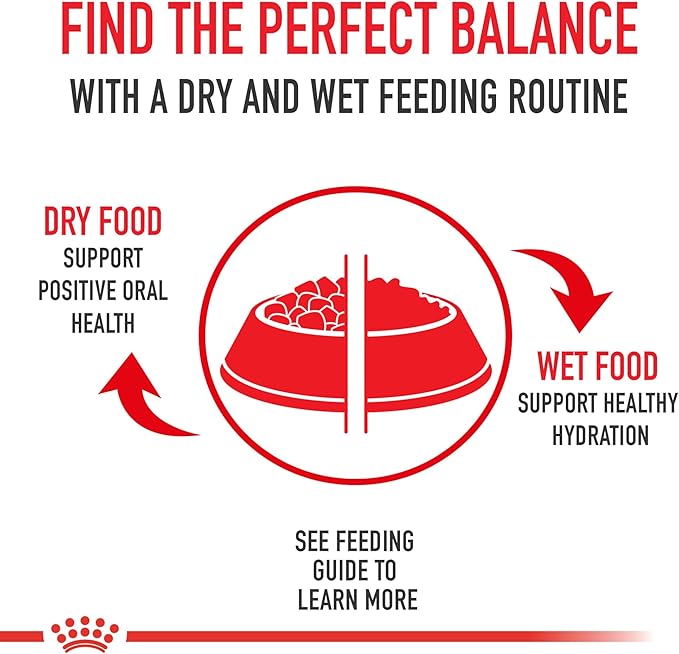 Royal Canin Canine Care Nutrition Sensitive Skin Care Adult Loaf in Sauce Dog Food, 13.5 oz (Pack of 12)
