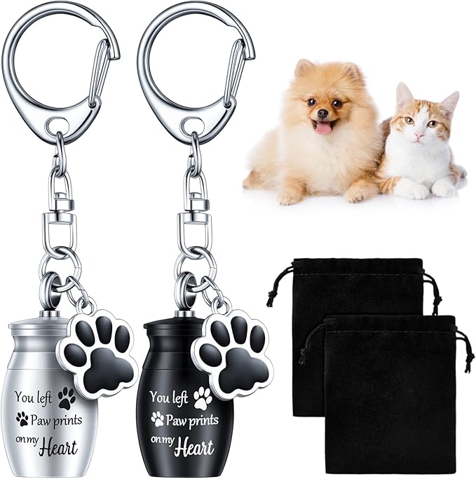 Tudomro 2 Pcs Pet Dog Urns Keychain for Ashes with 2 Storage Bags Small Cat Cremation Keepsake Jewelry Paw Print Memorial Urn