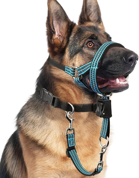 BARKLESS No Pull Dog Head Collar for Gentle Training Walking, Soft Padded Head Halter with Collar Safety Clip, Comfortable Fit Muzzle Leash with Reflective Strap for Medium Large Dog (Blue, XL)