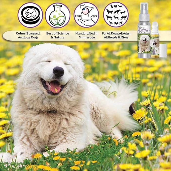 The Blissful Dog Great Pyrenees Relax Roll-ON Aromatherapy for Dogs - Anxiety Relief for Dogs