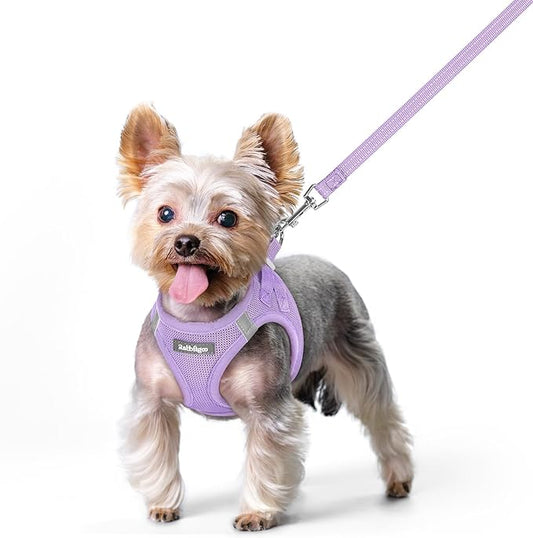 rabbitgoo Dog Harness Small Sized and Leash Set, Step in Soft Light Puppy Vest, Breathable Mesh Pet Harness, Reflective for Safe Easy Walking, Light Purple XS