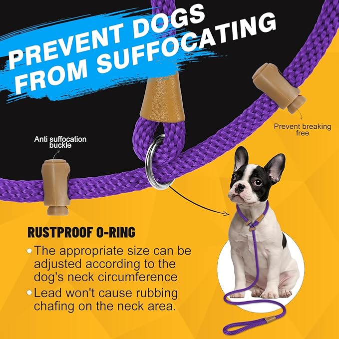 FASTFOX Dog Training Leash, 6ft x 1/2 Inch Slip Lead Loop for Small Medium Large Dogs, No Pull 3-in-1 (Purple)