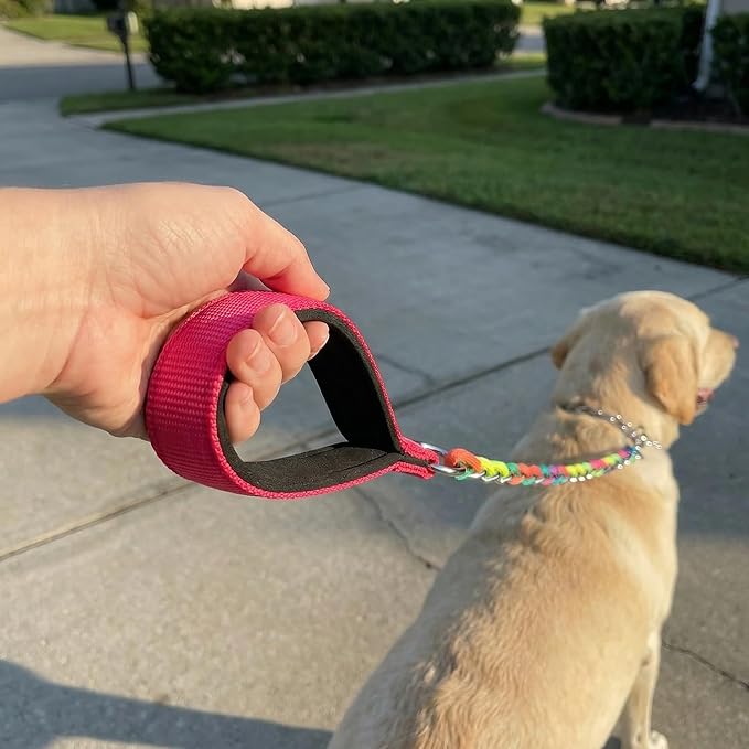 Chew Proof Metal Dog Leash with Built-in P-Chain Collar - 2FT/4FT for Small/Medium/Large Dogs (30-150lb), Anti-Bite Chain Link with Soft Padded Handle, 360° Rotating Clasp Colorful