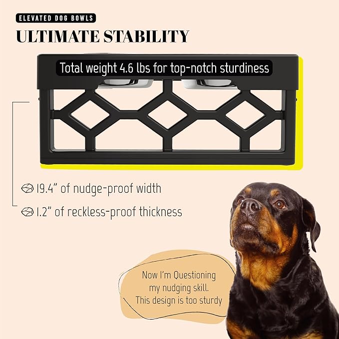 AVERYDAY Elevated Dog Bowls, 4 Height Adjustable Stand for Medium and Large Dogs, Raised Dog Feeder Holder with 2 Stainless Steel Food and Water Bowls, Anti-Slip Base Tall Feeding Station