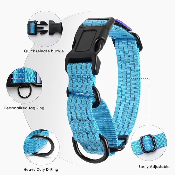 Martingale Collar for Dogs, Reflective Heavy Duty with Quick Release Nylon Buckle-USA Flag-No Pull Training Choker for Walking, Training, Sky Blue,L