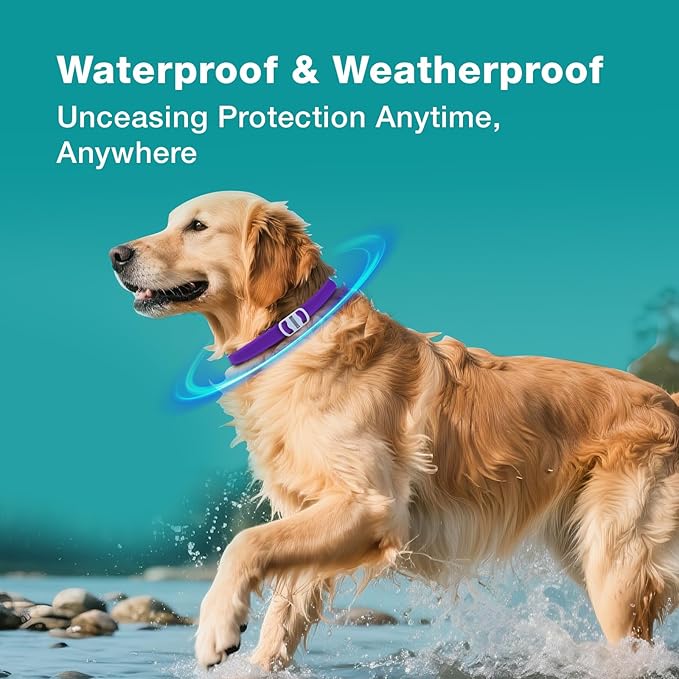 ZingZap Flea & Tick Collar 2-Pack Purple, Protects from Biting Insects, Adjustable Fits Both Dogs & Cats, Built-in Plant Based Formula, Slow Release Lasting Protection, Waterproof