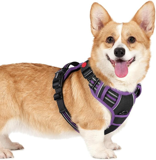 rabbitgoo Dog Harness Small Sized, No Pull Pet Harness with 3 Buckles, Adjustable Soft Padded Vest with Control Handle, Walking Reflective Pet Vest for Small Dogs, Black & Purple, S