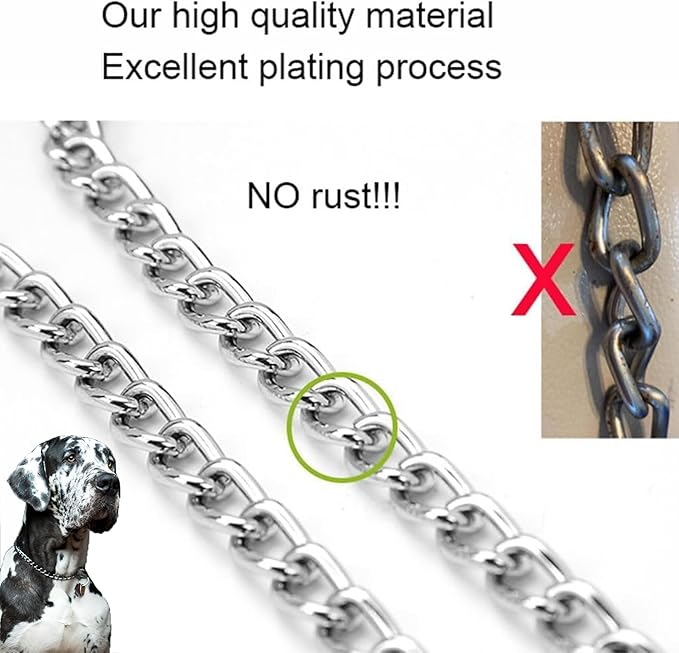 Choke Collar for Dogs, Choker Chain Metal Heavy Duty Chain Collar Dog Collars for XS Small Medium Large Big XL Dogs Girls Boys (Silver, M)