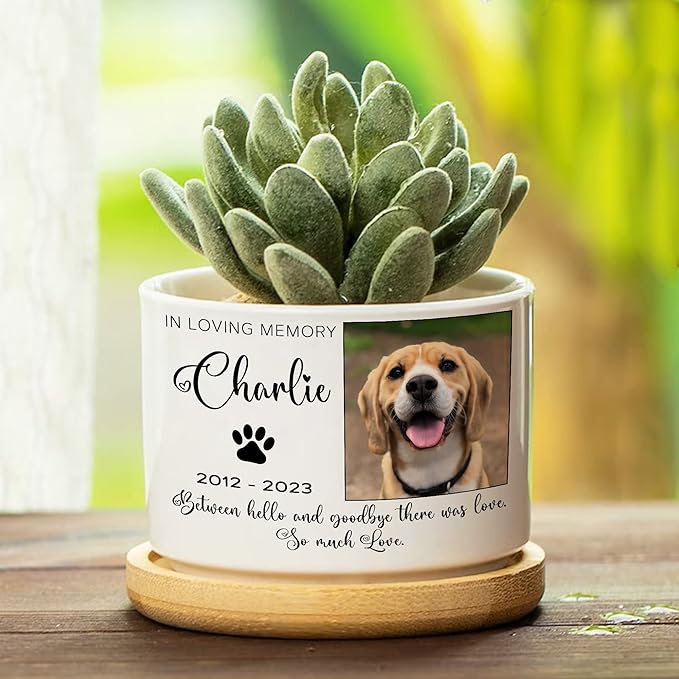 Customized Dog Memorial Picture Plant Pot Remembrance Gifts With Heartfelt Sentimental Quote Loss Plaque In Loving Memory of Plant Pot Dog Cat for Outdoor Sympathy Decor Gifts Pawprints Pet