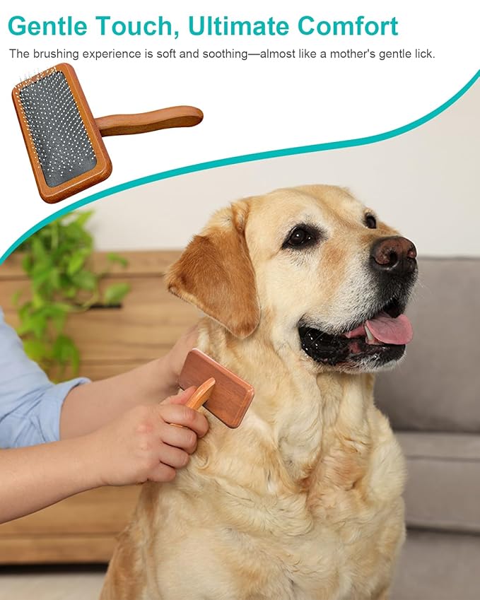 Dog Slicker Brush for Grooming & Shedding, Cat Brush for Short or Medium-Haired Dogs with an Air-Cushion Design and Coated Tips, Suitable for Removing Loose Hair, Tangles, and Knots.