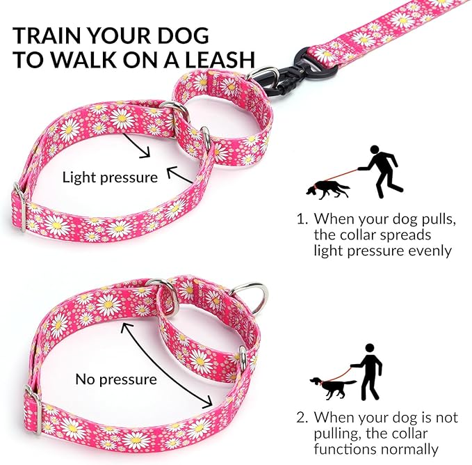 Martingale Collar for Medium Dogs, Girl Dog Collar with Daisy Flowers, Heavy Duty No Pull Dog Collar Floral Design Dog Training Collar, Perfect for Training, Walking, Hunting (Purple, M)