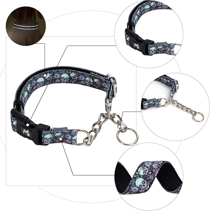 Martingale Collar - Reflective Nylon with Padded Comfort & Quick Release Buckle - Skull Design, No Slip Choke Heavy Duty Collar for Safe Training, Walking & Nighttime Use L