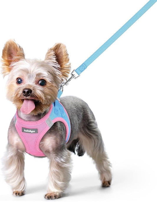 rabbitgoo Dog Harness Small Sized and Leash Set, Step in Soft Light Puppy Vest, Breathable Mesh Pet Harness, Reflective for Safe Easy Walking, Blue & Light Pink XS