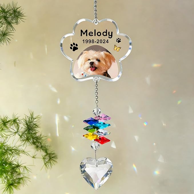 EDSG Personalized Dog Memorial Gifts for Loss of Dog - Pet Sympathy Gifts with Photo, Custom Pet Bereavement Gift, Rainbow Bridge Memorial Suncatcher for Cat (Design 4)