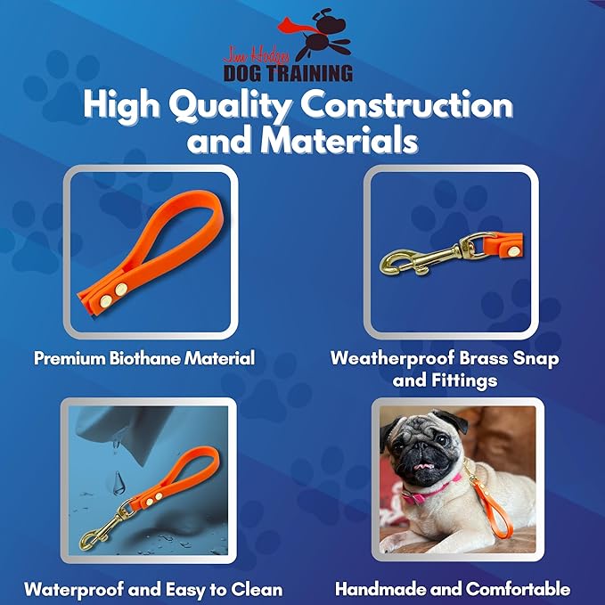 Biothane Training Tab Leash for Dogs, Brass Hardware, No Pull with Easy Grip Handle, Made in The USA, Professional Grade-Orange