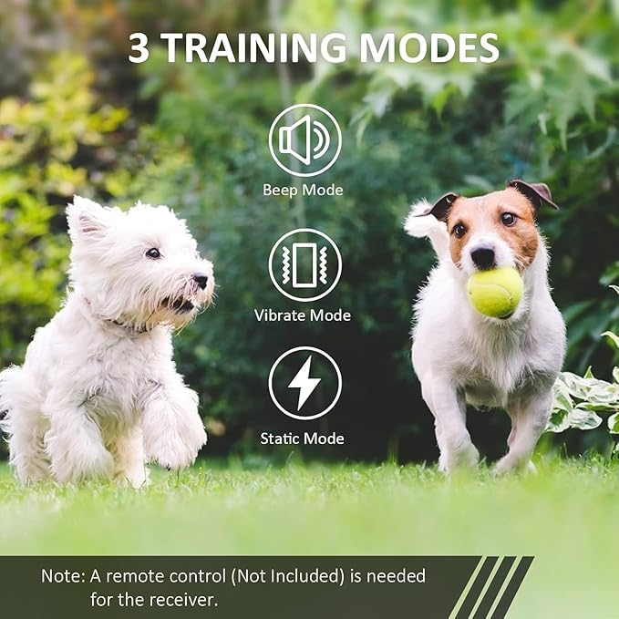 DOG CARE Shock Collar Receiver for Medium Large Dog, Long Remote Range, Vibration, Beep, 0-99 Adjustable Shock Levels, Work with DOG CARE TC01 Series from July 2025 Onwards, Collar Only