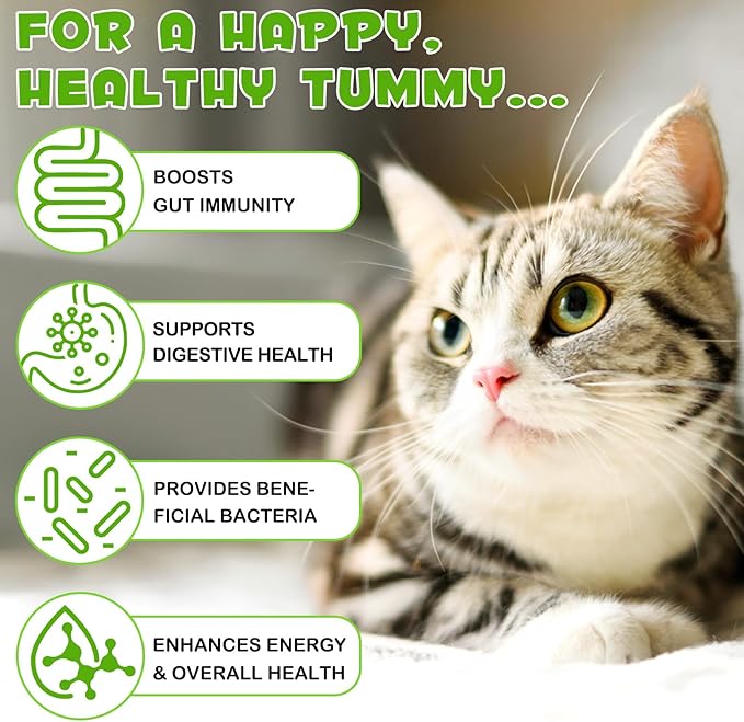 Probiotics for Cats Liquid, Cat Probiotic, 3 in 1 Cat Probiotics Supplement with Prebiotic & Digestive Enzymes | Support Gut Health, Diarrhea and Constipation Relief, Suitable for All Cats, 60 ml