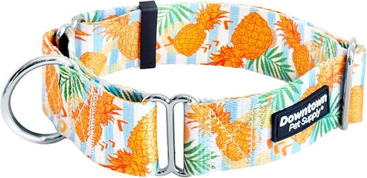 Downtown Pet Supply - Martingale Collar for Dogs - Dog Training Collar - Big, Wide & Thick Dog Collar - Escape-Proof, Weatherproof, Durable and Comfortable - Pineapple - Small Dog Collar