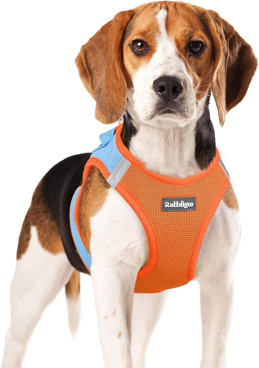 rabbitgoo Small Dog Harness, Step-in Soft Mesh Puppy Vest with Safety Buckle, Breathable Reflective Pet Harness for Small Medium Dogs, Blue & Orange XL