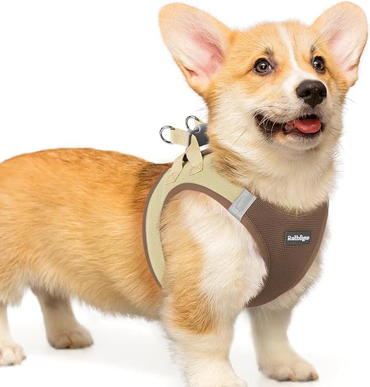 rabbitgoo Small Dog Harness, Step-in Soft Mesh Puppy Vest with Safety Buckle, Breathable Reflective Pet Harness for Small Medium Dogs, Brown & Beige L