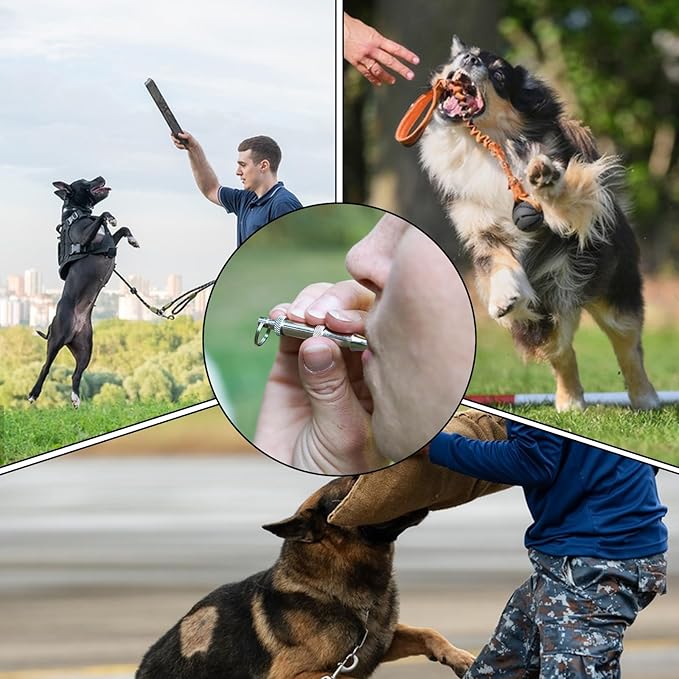 2 Pack Dog Whistle Professional Recall Dog Training Whistles Adjustable Frequency Silent Training Ultrasonic Dogs Whistle Stop Barking Neighbors Dogs with Lanyard (Black)