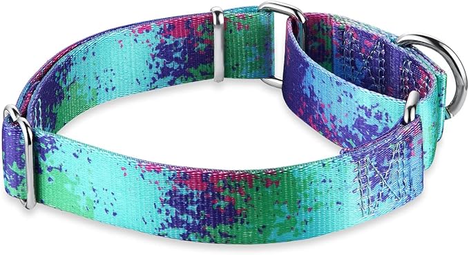Martingale Dog Collar Escape-Proof for Training - No-Buckle, Durable Polyester Design for Medium Breeds (Ecological Oasis, M)