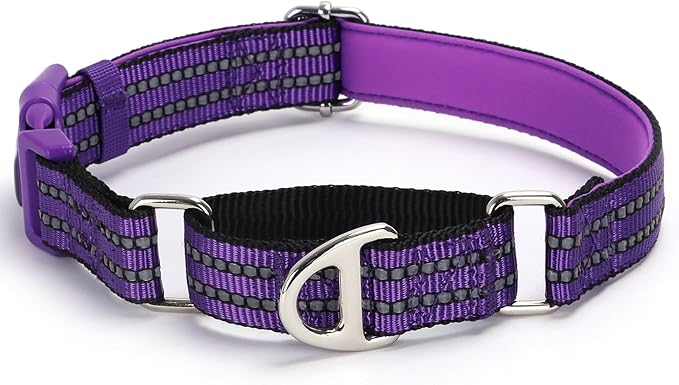 Martingale Collar for Dogs - Reflective Nylon with Padded Comfort & Quick Release Buckle - No Slip Choke Heavy Duty Collar for Safe Training, Walking & Nighttime Use Purple S