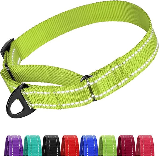 Collardirect Reflective Martingale Dog Collar Nylon Training Collars for Small Medium Large Dogs Puppy Pink Orange Green (S, Neck Size 11"-15", Lime Green)