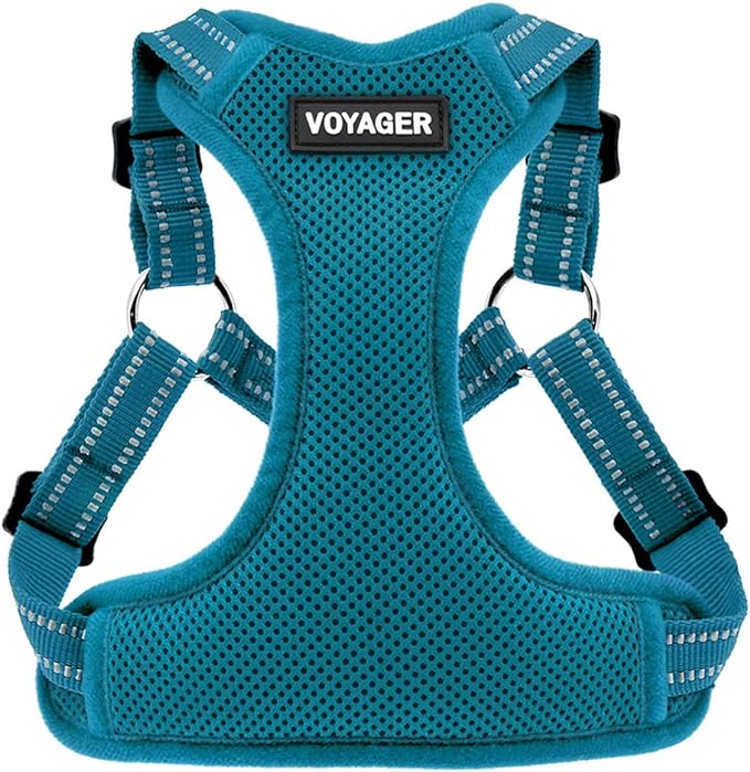 Best Pet Supplies Voyager Adjustable Step-in Flex Breathable Mesh Dog Harness for Small Medium Large Dogs (Turquoise), L