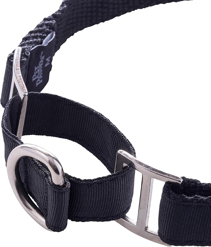 Remy II - The Recycled Ribbon Martingale Adjustable Collar No-Pull Pet Training Collars Dogs, Black, Small