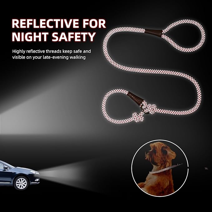 Mile High Life Slip Leads for Dogs | Reflective Slip Leash with Leather Tip | Heavy Duty Dog Training Leash - 4 Feet Climbing Rope (Red)